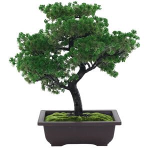 BONSAI PLANT WITH PLASTIC POT 40CM