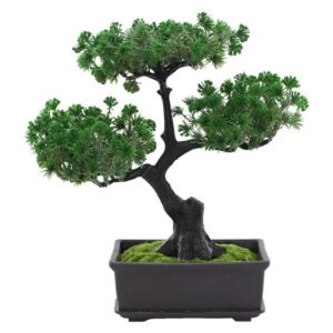 BONSAI PLANT WITH PLASTIC POT 26CM