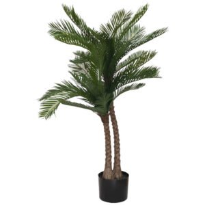 CYCAS IN POT 95CM