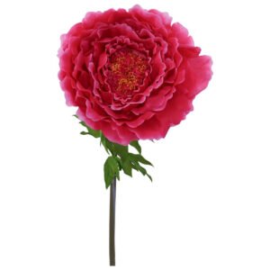 FUSSCHIA PEONY STEM 130CM HIGH 42CM DIAMETER