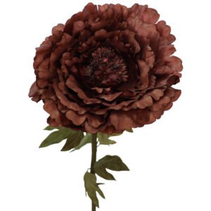 DARK BROWN PEONY 130CM