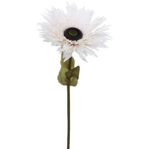 FALL CREAM GERBERA 125CM