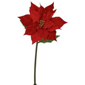 RED VELVET POINSETTIA 100CM
