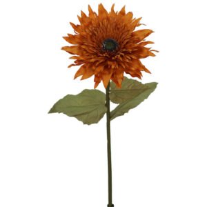 RUST GERBERA 100CM