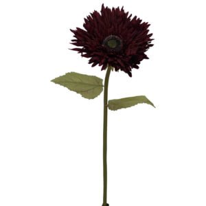 BURGUNDY GERBERA 90CM