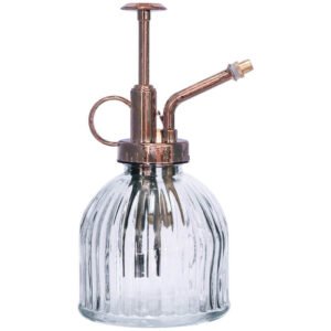PLANT MISTER CLEAR 16CM