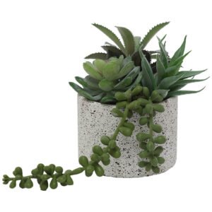 SUCCULENTS CEMENT POT 14CM
