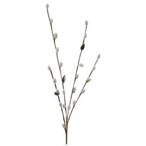 WHITE BUD STEM 70CM