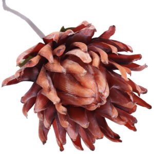 RUSTIC ORANGE PROTEA STEM 85CM
