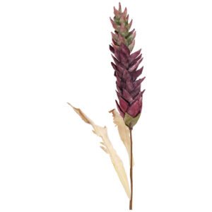 DUSTY PURPLE ALOE STEM 105CM