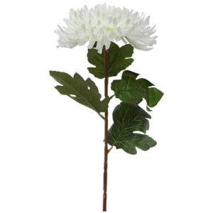 WHITE CRYSANTHEMUM 70CM