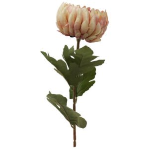 PEACH CRYSANTHEMUM 73CM