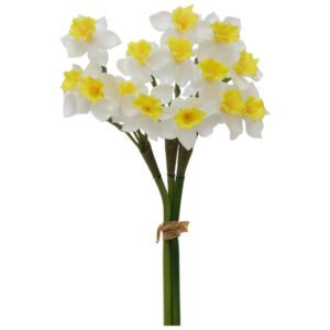 YELLOW/WHITE DAFFODIL BOUQUET 50C