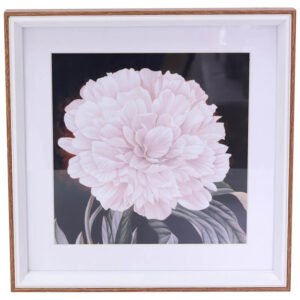 WALL ART CARNATION 25X25CM