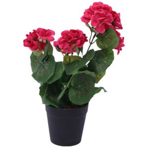 PINK GERANIUM PLANT IN POT 32CM