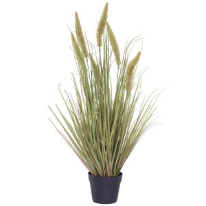 GREEN/BROWN PONYTAIL YOUNG GRASS 95CM