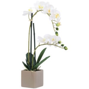 WHITE ORCHID IN POT 51CM