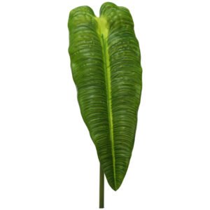 BRIGHT GREEN ANTHIIUIM LEAF 86CM