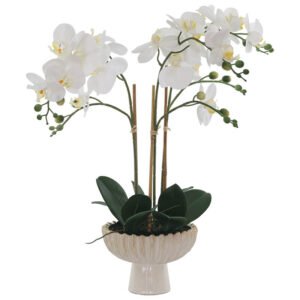 WHITE ORCHID IN FTD POT 58CM