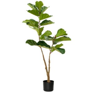 FIDDLE FIG LEAF TREE IN POT 120CM