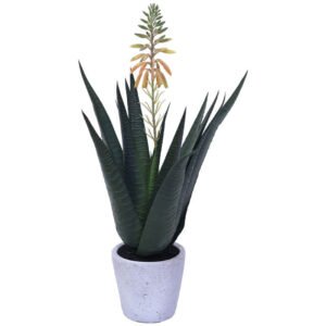 ALOE IN POT 41CM