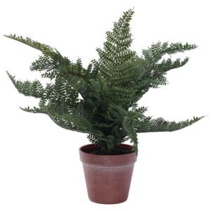 FERN IN POT 36CM